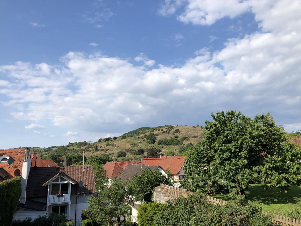 Ferienhaus Irene Vogtsburg Luaran gambar